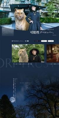 可能性デベロッパー
