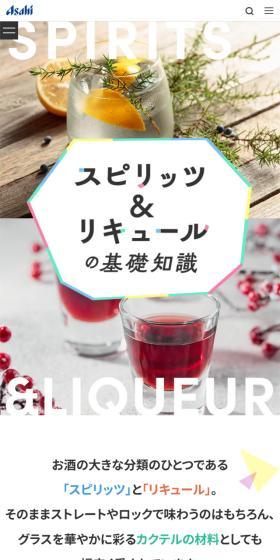 Basic Knowledge of Spirits & Liqueurs LP design (Other alcoholic drinks / White-based / Simple) Mobile version