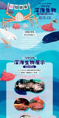Sunshine Aquarium: Thrilling Deep-Sea Creatures 2026