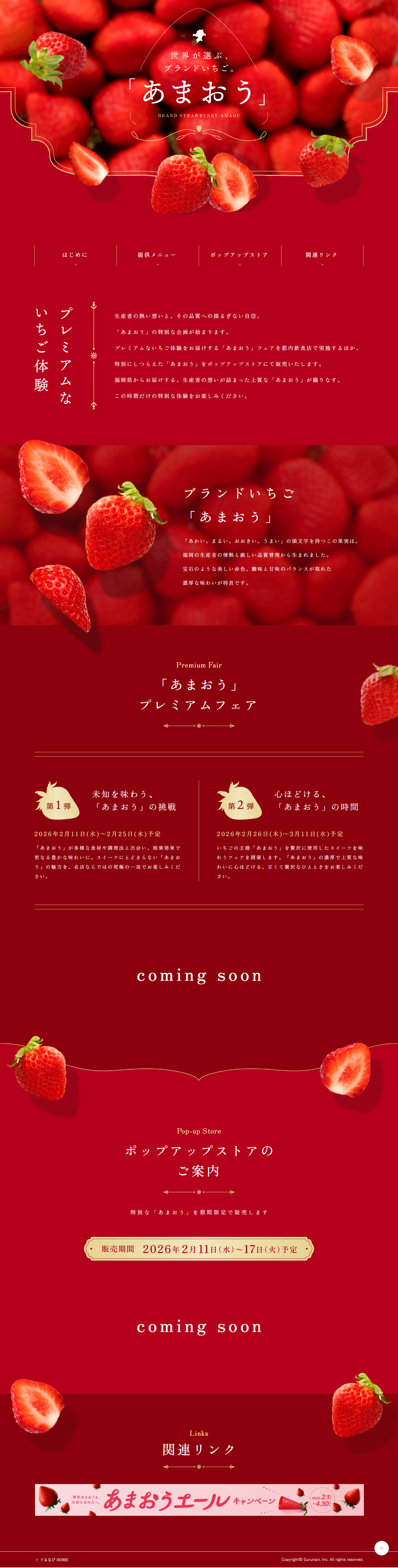 Amaou Fair LP design (fruit-vegetable / Red tones / Refined style)