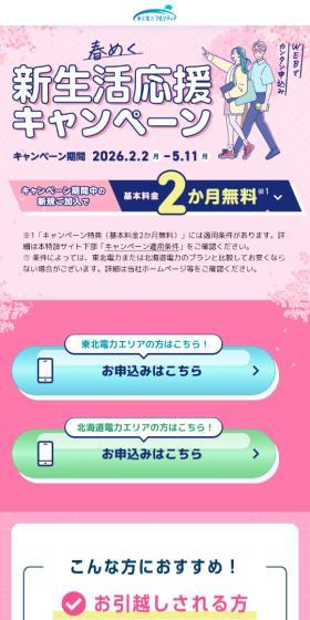 Spring New Life Support Campaign LP design (Events, Campaigns, Experiences / Pink shades / Trust and Safety) Mobile version