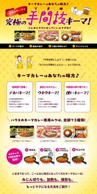 House Keema it is! LP design (Prepared foods, dishes, and cuisine)