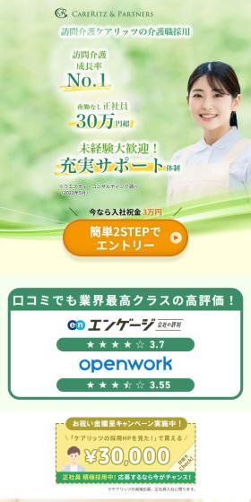 Careritz LP design (recruitment / Green tones / Health and Wellness) Mobile version
