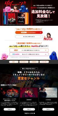 Netflix Support Campaign LP design (Communication and Network Equipment)
