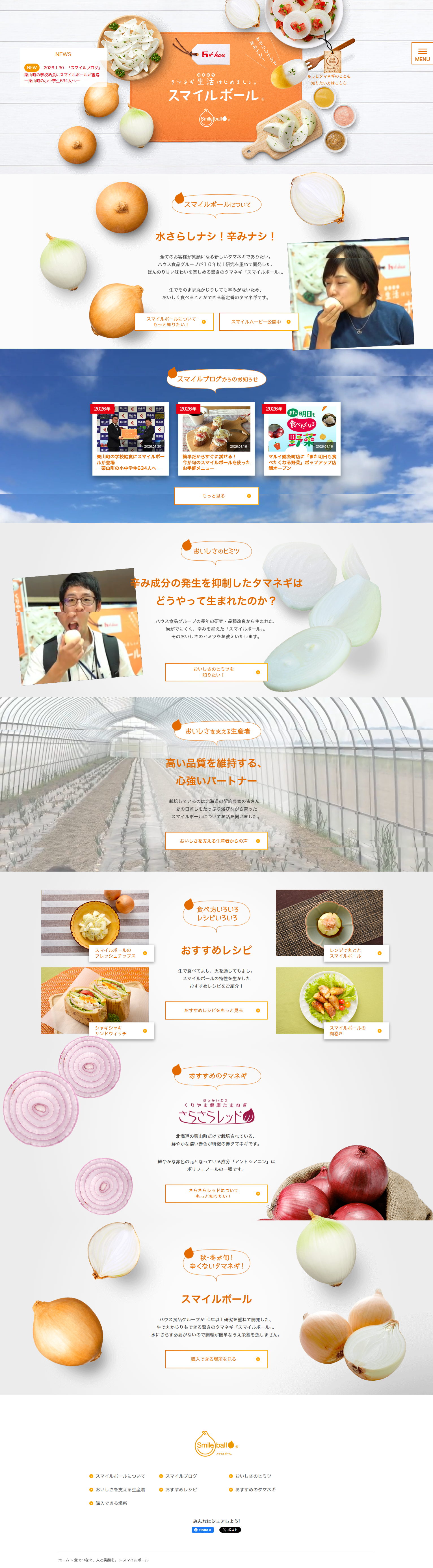 スマイルボールのLPデザイン（フルーツ・果物・野菜／オレンジ系／健康・癒し系）PC版