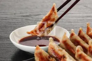 餃子の写真撮影実績