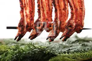 焼きあなごの写真撮影実績