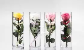 花の写真撮影実績