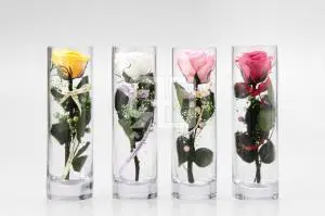 フラワーギフトの写真撮影実績