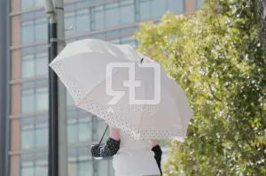アームカバー,日傘の写真撮影実績