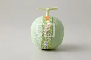 ふるーつぜりーの写真撮影実績