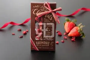 タブレットチョコの写真撮影実績