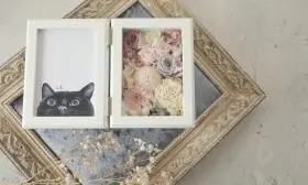 花の写真撮影実績