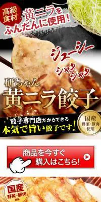 黄ニラをふんだんに使用！黄ニラ餃子のLPデザイン（カラフル系）PC版