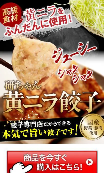 黄ニラをふんだんに使用！黄ニラ餃子｜株式会社餃子計画様のLP制作実績