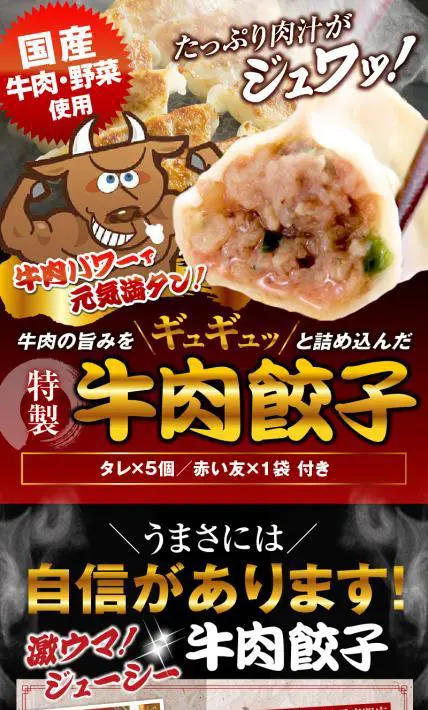 特製牛肉餃子｜株式会社餃子計画様のLP制作実績