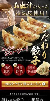 こだわり餃子のLPデザイン（カラフル系）PC版
