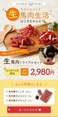 生馬肉トライアルセットのLPデザイン（ブラック系）PC版