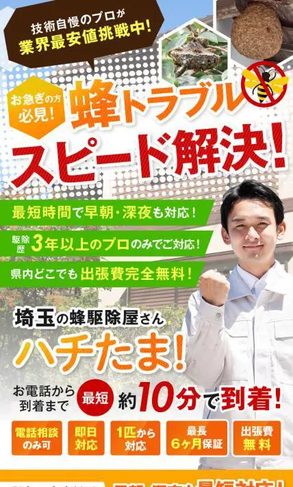 埼玉の蜂駆除屋さん ハチたま！｜一般社団法人 日本建物調査組合様のLP制作実績