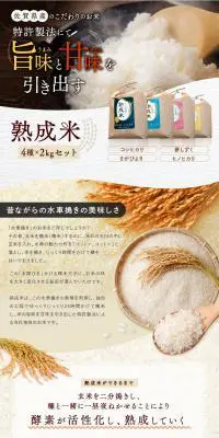 熟成米のLPデザイン（カラフル系）PC版