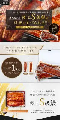 S級プレミアムアウトレット鰻のLPデザイン（カラフル系）PC版