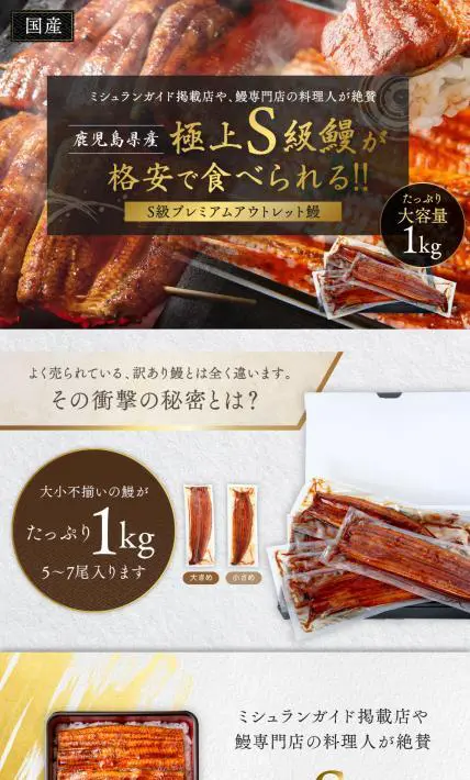 S級プレミアムアウトレット鰻｜株式会社スターディレクション様のLP制作実績