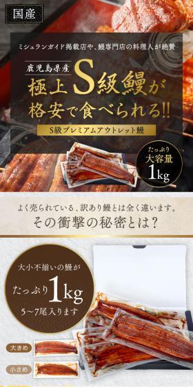 S級プレミアムアウトレット鰻のLPデザイン（カラフル系）スマホ版