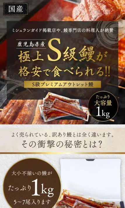 S級プレミアムアウトレット鰻｜株式会社スターディレクション様のLP制作実績