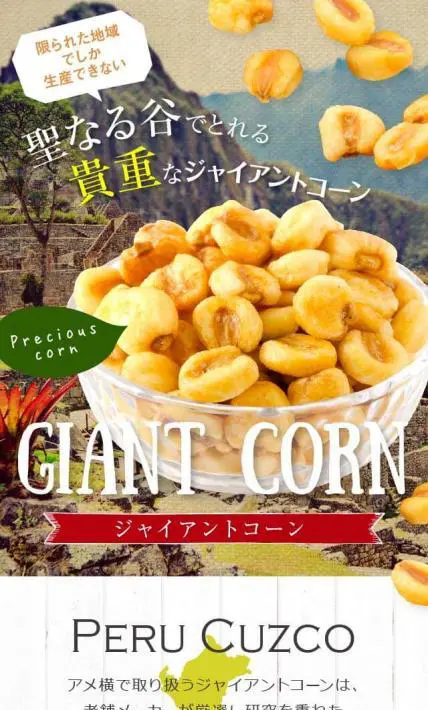 ジャイアントコーン｜株式会社大津屋商店様のLP制作実績