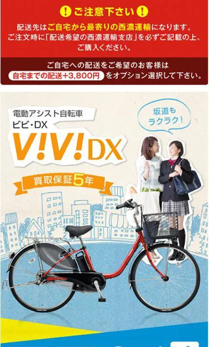 パナソニックビビDX｜株式会社三堀アレスダンク様のLP制作実績