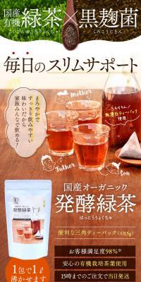 国産オーガニック発酵緑茶のLPデザイン（健康食品・健康ドリンク・サプリメント／ブラウン系／かっこいい系）スマホ版