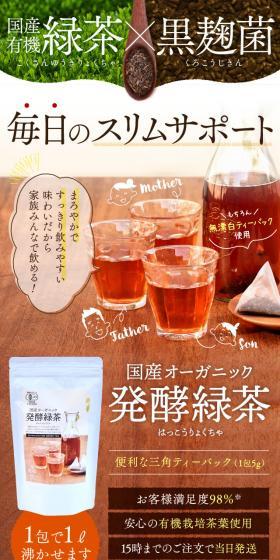 国産オーガニック発酵緑茶のLPデザイン（健康食品・健康ドリンク・サプリメント／ブラウン系／かっこいい系）スマホ版