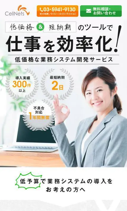 業務システム開発サービス｜株式会社セルネッツ様のLP制作実績