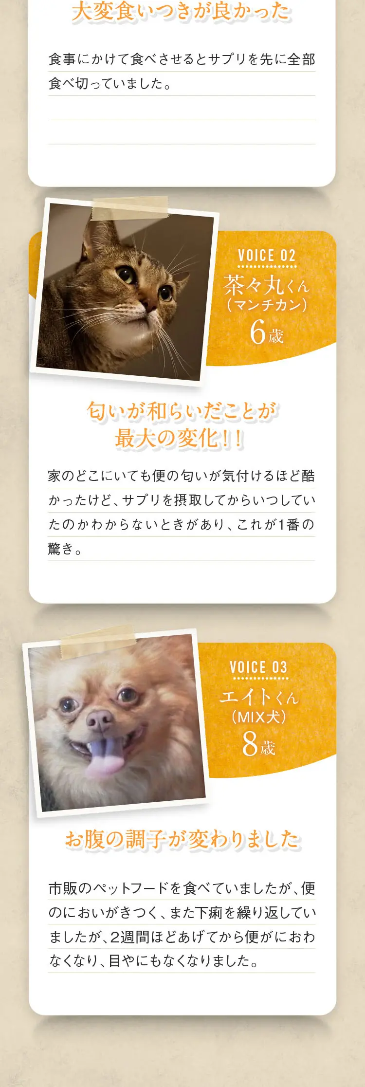 犬猫健康補助食品 フローラアシストPRO_sp_2