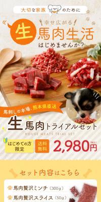 生馬肉トライアルセットのLPデザイン（ブラック系）スマホ版