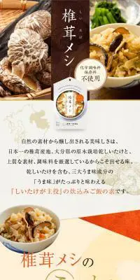 椎茸メシのLPデザイン（カラフル系）スマホ版