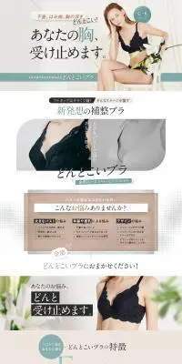 どんとこいブラのLPデザイン（下着・ナイトウェア／グレー系／アート・芸術系）PC版