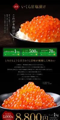 いくら甘塩漬けのLPデザイン（魚介類・海産物／カラフル系／かっこいい系）PC版
