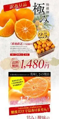 （訳有）特級畑の極み有田みかんのLPデザイン（フルーツ・果物・野菜／グレー系／高級・セレブ系）PC版