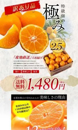 （訳有）特級畑の極み有田みかん