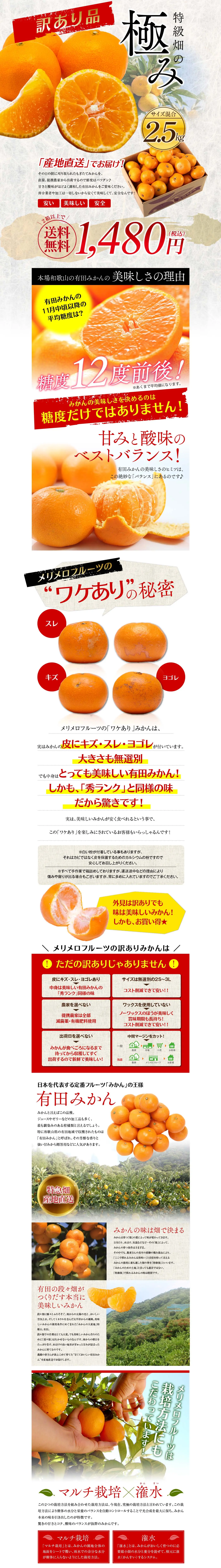 （訳有）特級畑の極み有田みかん_pc_1