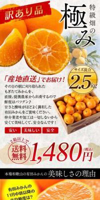 （訳有）特級畑の極み有田みかんのLPデザイン（フルーツ・果物・野菜／グレー系／高級・セレブ系）スマホ版