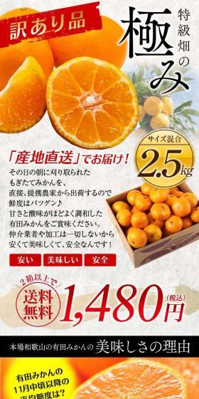 （訳有）特級畑の極み有田みかんのLPデザイン（フルーツ・果物・野菜／グレー系／高級・セレブ系）スマホ版