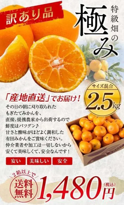 （訳有）特級畑の極み有田みかん｜メリメロフルーツ様のLP制作実績