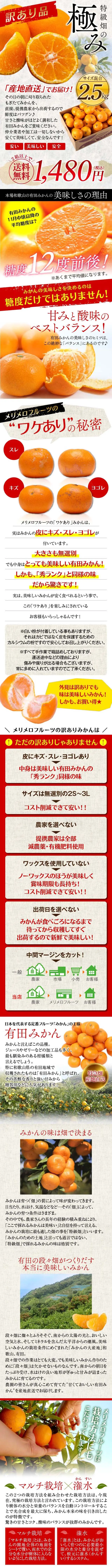 （訳有）特級畑の極み有田みかん_sp_1