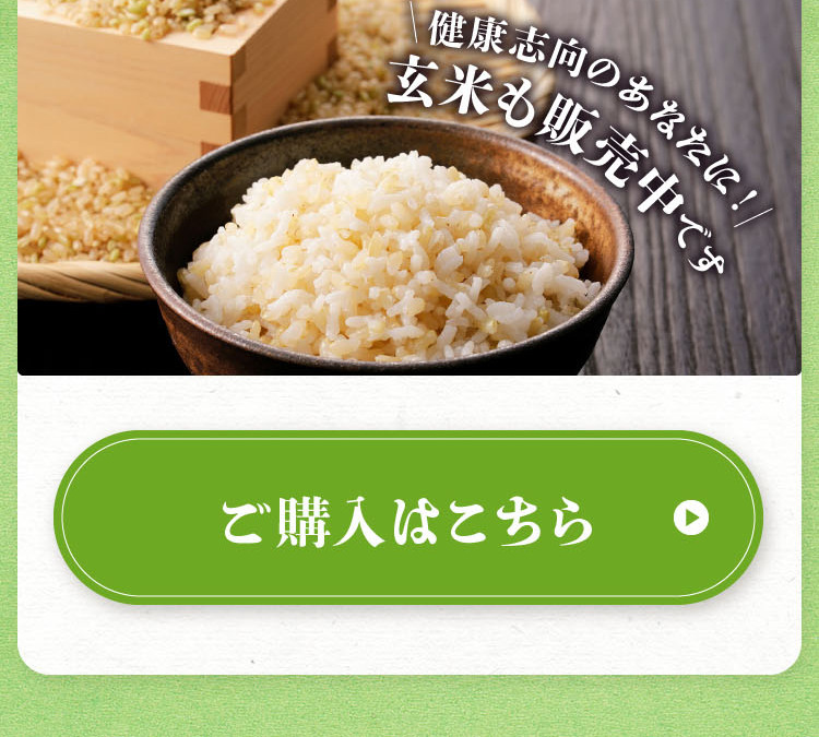 特別栽培米コシヒカリ寿米_sp_2