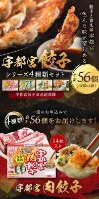 宇都宮餃子 シリーズ4種類セットのLPデザイン（惣菜・おかず・料理／カラフル系）スマホ版