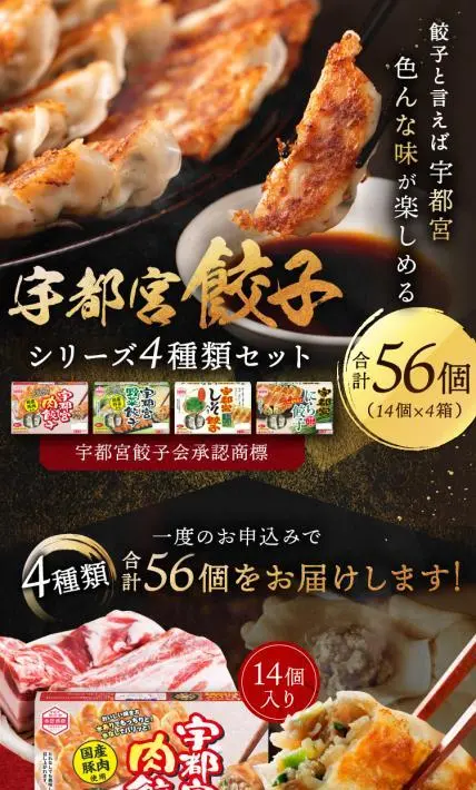 宇都宮餃子 シリーズ4種類セット｜株式会社アースコーポレーション様のLP制作実績