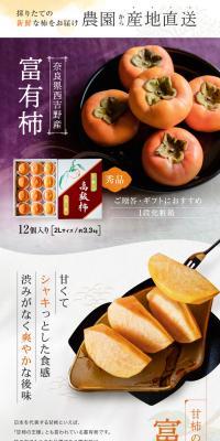 奈良県西吉野産 富有柿
