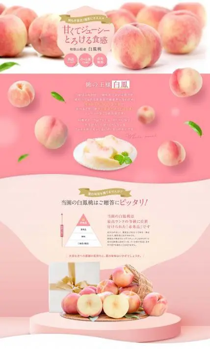 和歌山県産 白鳳桃｜株式会社Ryuki Design様のLP制作実績